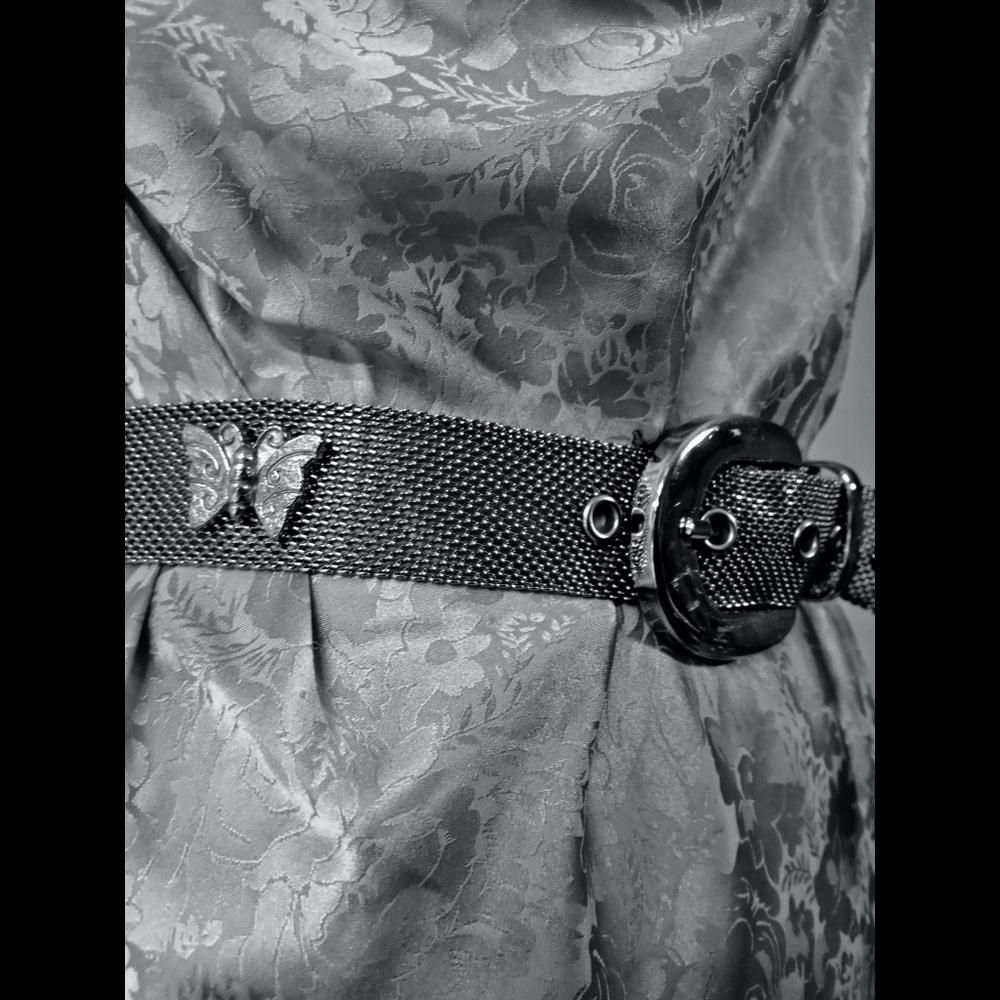 Silver Mesh Butterfly Belt